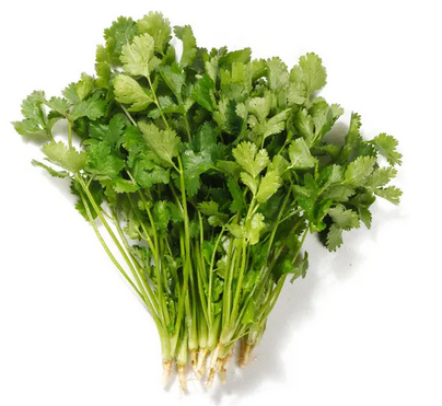 香菜